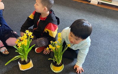 Daffodil day1.jpg