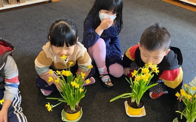 Daffodil day2.jpg