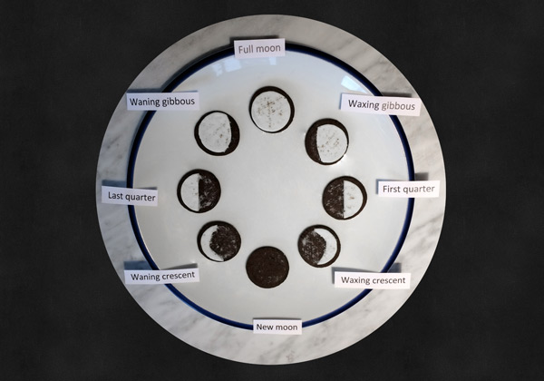 The Oreos representing the lunar phases