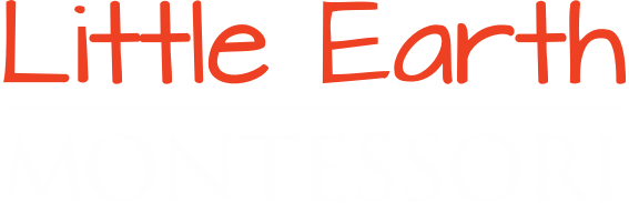 Little Earth Logo