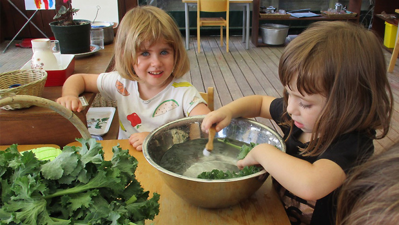 cleaning-the-kale-weve-harvested-we-make-yummy-kale-chips.jpg