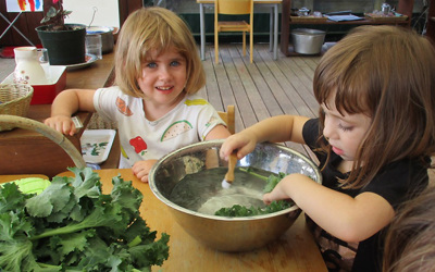 cleaning-the-kale-weve-harvested-we-make-yummy-kale-chips.jpg